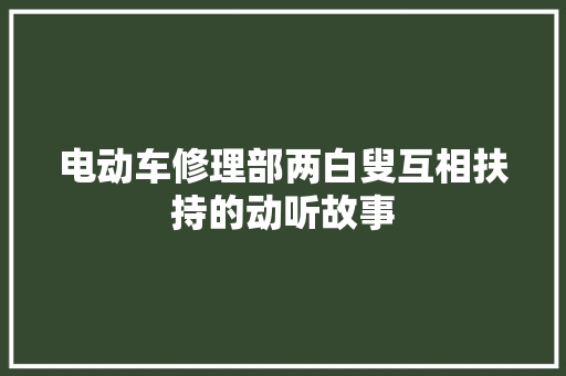 电动车修理部两白叟互相扶持的动听故事