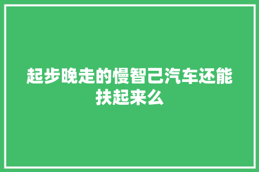 起步晚走的慢智己汽车还能扶起来么