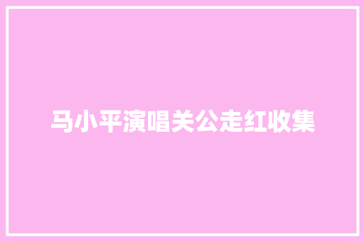 马小平演唱关公走红收集