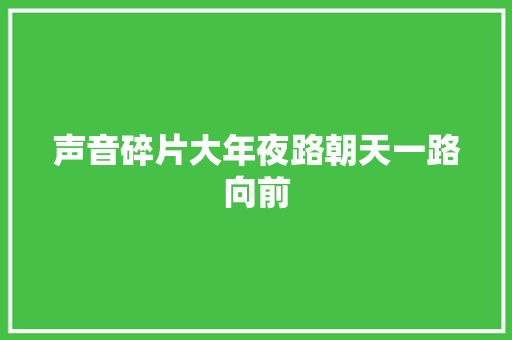声音碎片大年夜路朝天一路向前