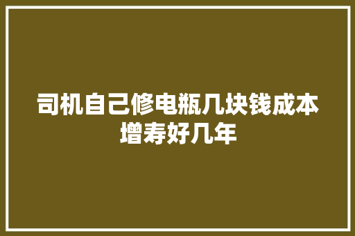 司机自己修电瓶几块钱成本增寿好几年