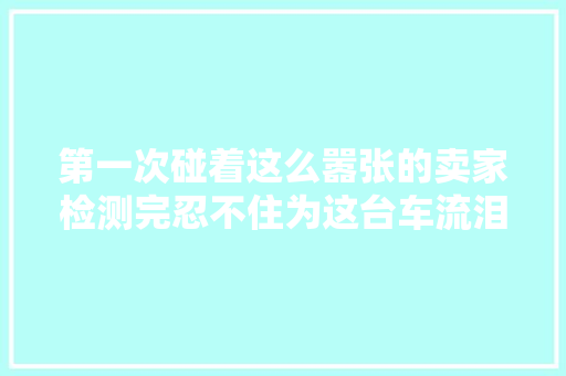 第一次碰着这么嚣张的卖家检测完忍不住为这台车流泪
