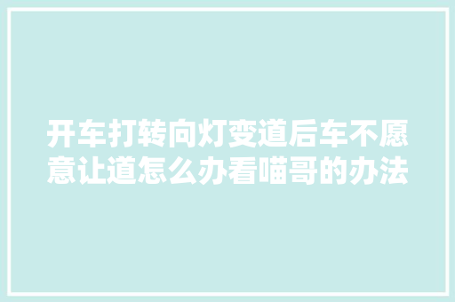 开车打转向灯变道后车不愿意让道怎么办看喵哥的办法轻松搞定
