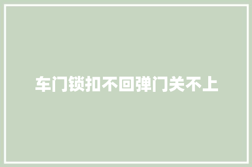 车门锁扣不回弹门关不上