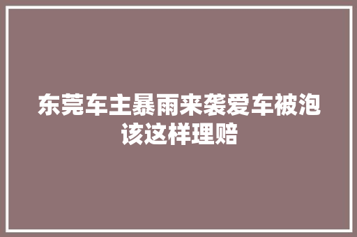 东莞车主暴雨来袭爱车被泡该这样理赔