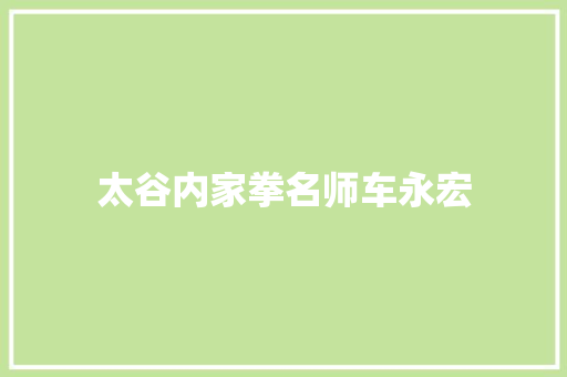 太谷内家拳名师车永宏