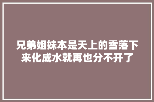 兄弟姐妹本是天上的雪落下来化成水就再也分不开了