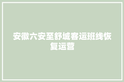安徽六安至舒城客运班线恢复运营