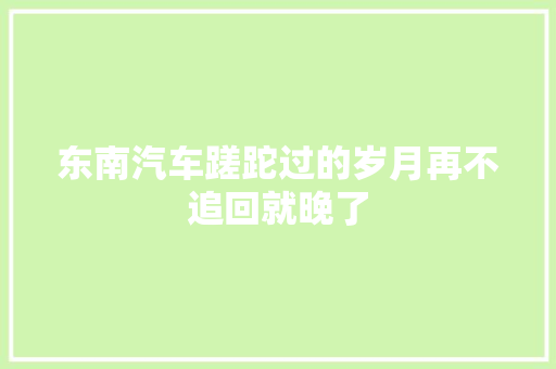 东南汽车蹉跎过的岁月再不追回就晚了