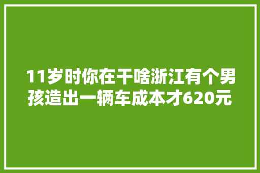 11岁时你在干啥浙江有个男孩造出一辆车成本才620元