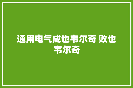 通用电气成也韦尔奇 败也韦尔奇
