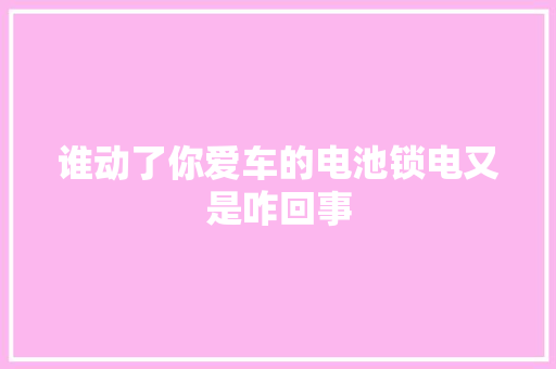 谁动了你爱车的电池锁电又是咋回事