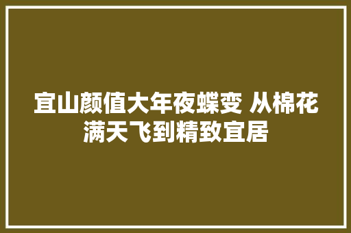 宜山颜值大年夜蝶变 从棉花满天飞到精致宜居