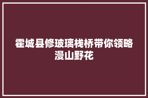 霍城县修玻璃栈桥带你领略漫山野花