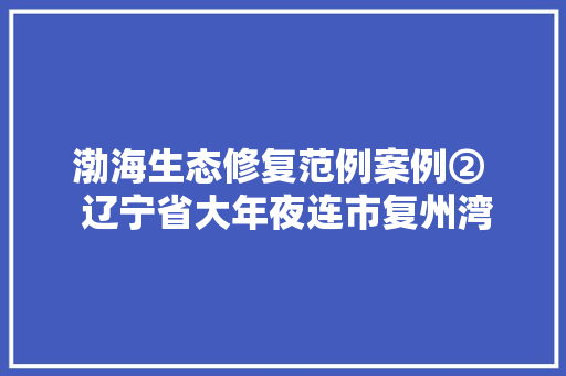 渤海生态修复范例案例②  辽宁省大年夜连市复州湾生态修复项目