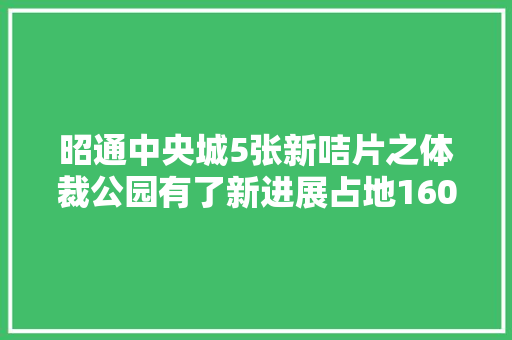 昭通中央城5张新咭片之体裁公园有了新进展占地1600亩位置在这儿