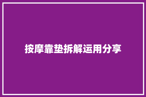 按摩靠垫拆解运用分享