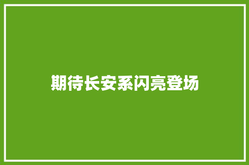 期待长安系闪亮登场