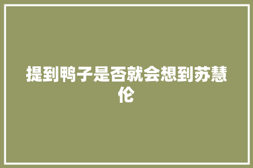 提到鸭子是否就会想到苏慧伦