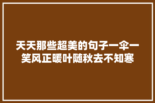 天天那些超美的句子一伞一笑风正暖叶随秋去不知寒 休闲娱乐