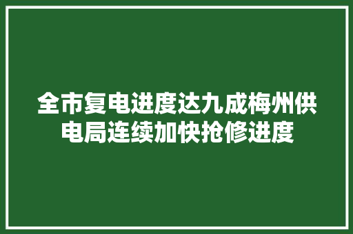 全市复电进度达九成梅州供电局连续加快抢修进度