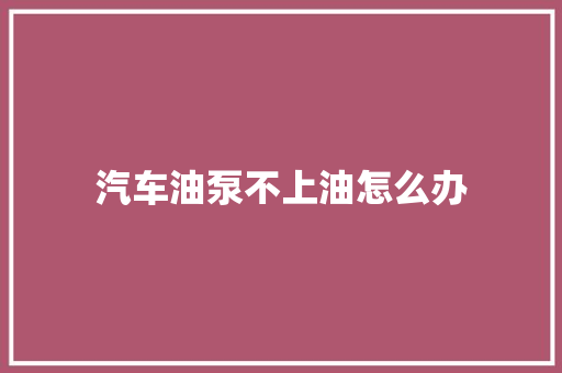 汽车油泵不上油怎么办