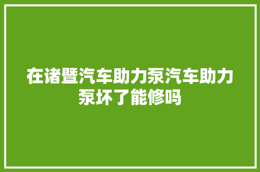 在诸暨汽车助力泵汽车助力泵坏了能修吗