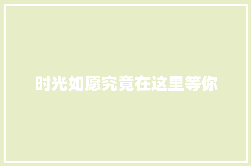 时光如愿究竟在这里等你