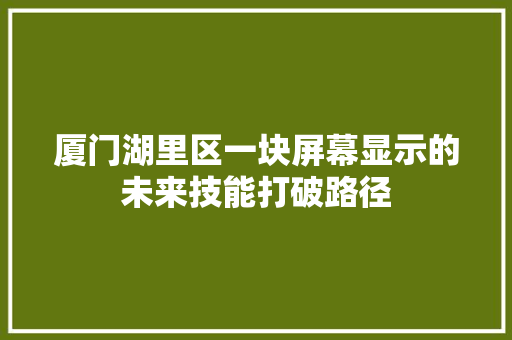 厦门湖里区一块屏幕显示的未来技能打破路径