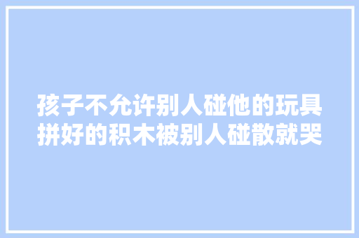 孩子不允许别人碰他的玩具拼好的积木被别人碰散就哭闹怎么办