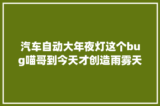 汽车自动大年夜灯这个bug喵哥到今天才创造雨雾天太随意马虎出车祸了