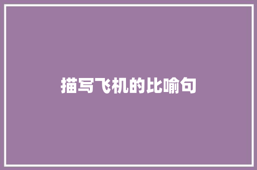 描写飞机的比喻句