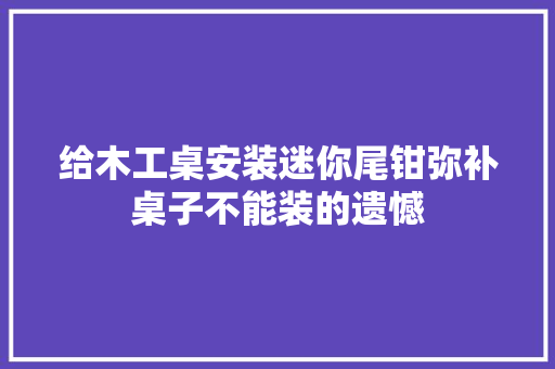 给木工桌安装迷你尾钳弥补桌子不能装的遗憾