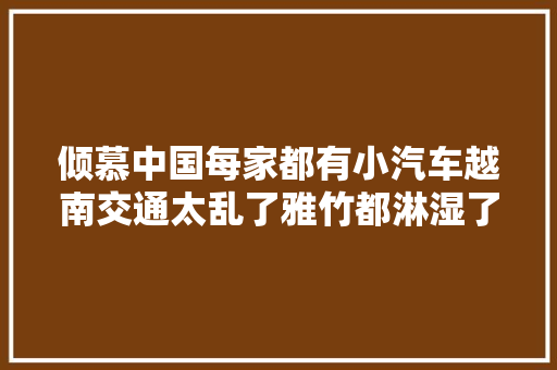 倾慕中国每家都有小汽车越南交通太乱了雅竹都淋湿了。