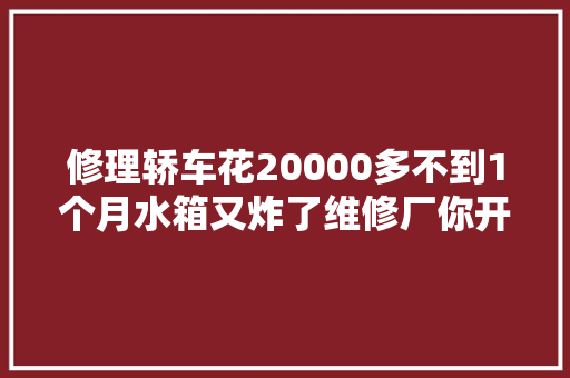修理轿车花20000多不到1个月水箱又炸了维修厂你开车办法纰谬