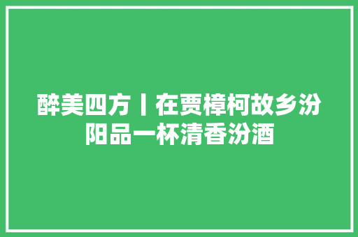 醉美四方丨在贾樟柯故乡汾阳品一杯清香汾酒