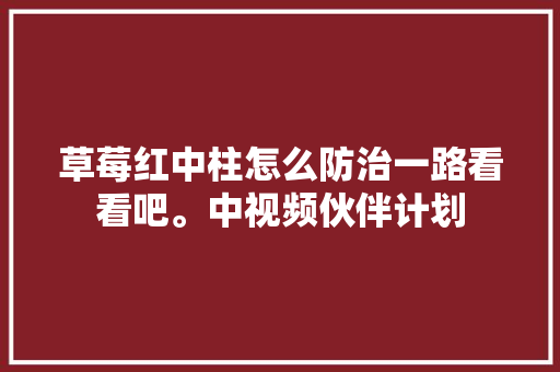草莓红中柱怎么防治一路看看吧。中视频伙伴计划