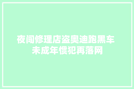 夜闯修理店盗奥迪跑黑车 未成年惯犯再落网