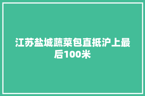 江苏盐城蔬菜包直抵沪上最后100米
