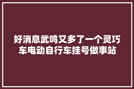 好消息武鸣又多了一个灵巧车电动自行车挂号做事站
