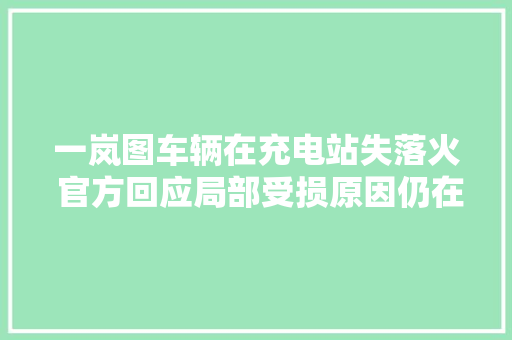 一岚图车辆在充电站失落火 官方回应局部受损原因仍在查询访问中