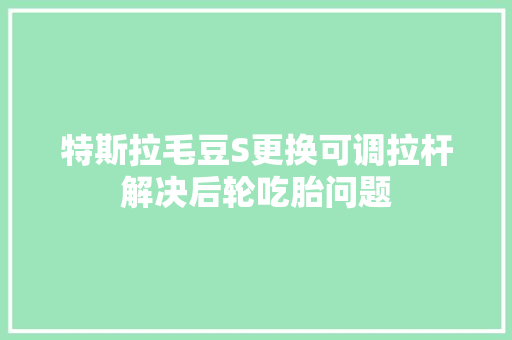 特斯拉毛豆S更换可调拉杆解决后轮吃胎问题