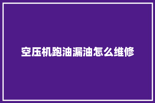 空压机跑油漏油怎么维修