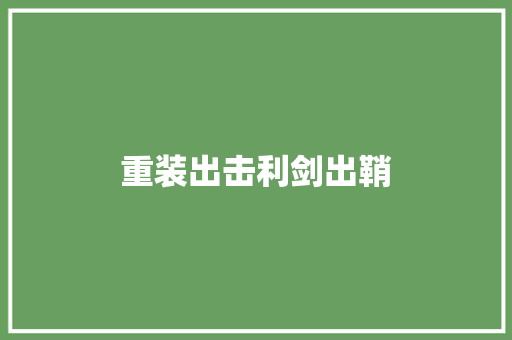 重装出击利剑出鞘