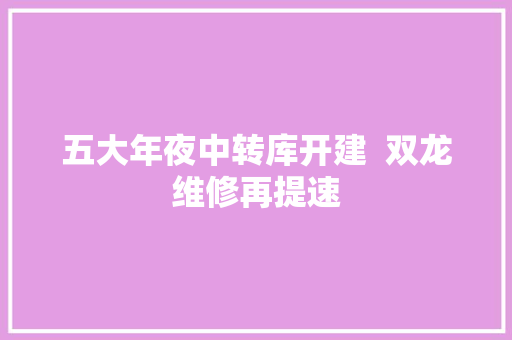五大年夜中转库开建  双龙维修再提速