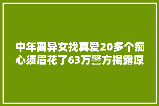 中年离异女找真爱20多个痴心须眉花了63万警方揭露原形