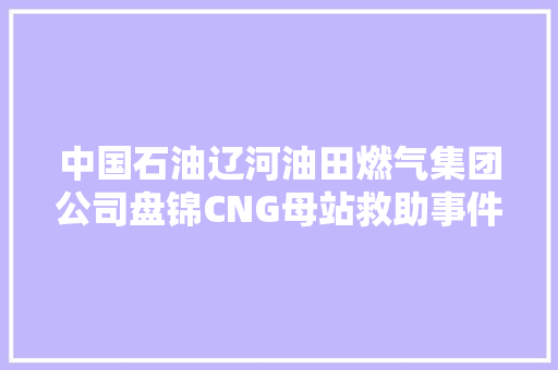 中国石油辽河油田燃气集团公司盘锦CNG母站救助事件车辆获点赞