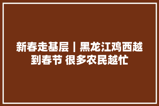 新春走基层｜黑龙江鸡西越到春节 很多农民越忙