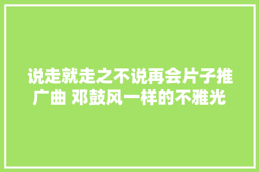 说走就走之不说再会片子推广曲 邓鼓风一样的不雅光完整歌词介绍