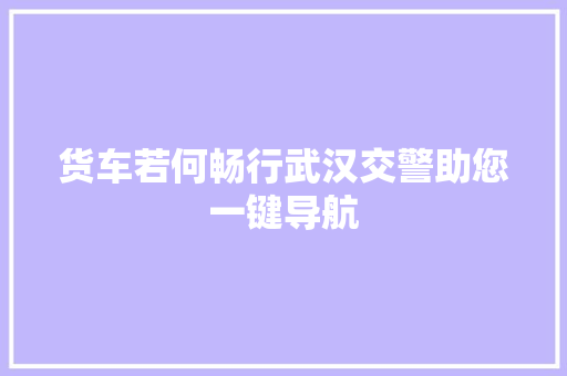 货车若何畅行武汉交警助您一键导航